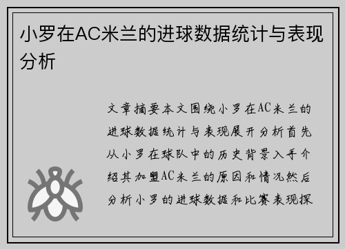 小罗在AC米兰的进球数据统计与表现分析
