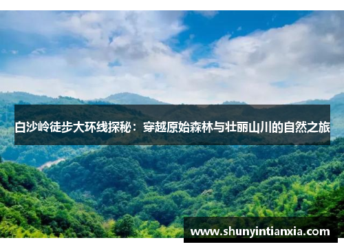 白沙岭徒步大环线探秘：穿越原始森林与壮丽山川的自然之旅