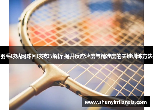 羽毛球贴网球回球技巧解析 提升反应速度与精准度的关键训练方法