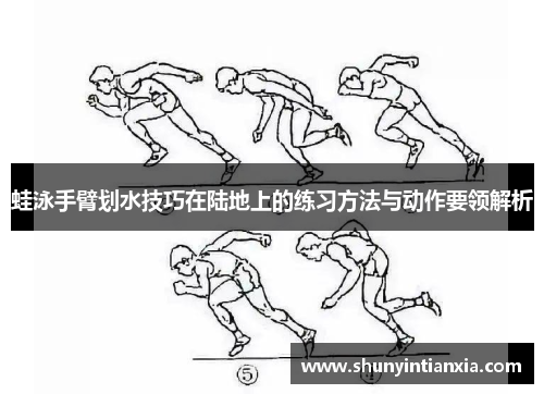 蛙泳手臂划水技巧在陆地上的练习方法与动作要领解析