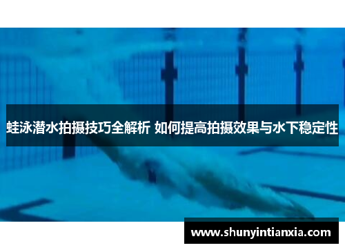 蛙泳潜水拍摄技巧全解析 如何提高拍摄效果与水下稳定性