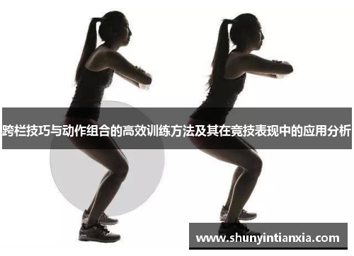 跨栏技巧与动作组合的高效训练方法及其在竞技表现中的应用分析