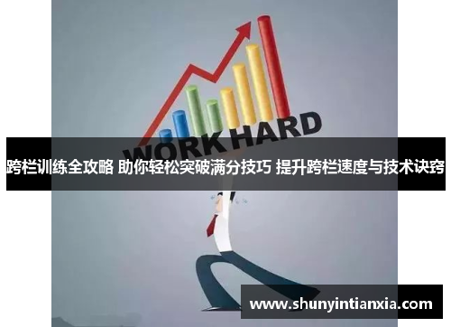 跨栏训练全攻略 助你轻松突破满分技巧 提升跨栏速度与技术诀窍